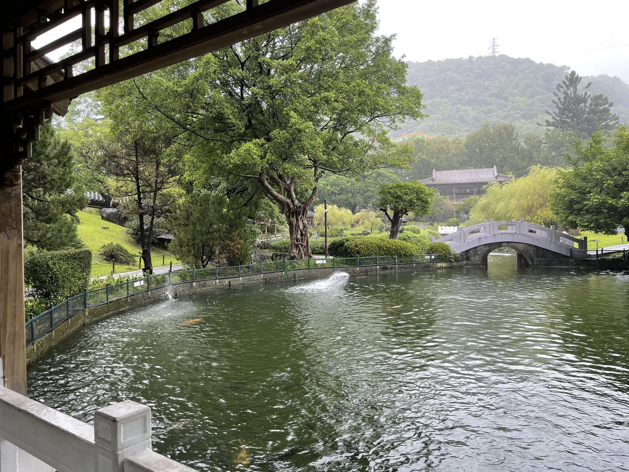 museum_gardens